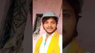 छोड़ के जब जला सर्व #shortvideo #funny #comedy #cat #youtubeshorts