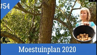 #54- Mijn moestuin, moestuinplan 2020