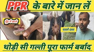 Bakri Ke Bacche Ko PPR |Memna Kabhi Na Kharide Naye Bakri Palak Bhae|