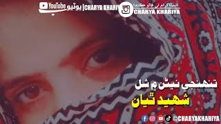 Tuhanji Nain Men Shal Shaheed Thyan || Ahmed Mughal || Sindhi Whatsapp Status