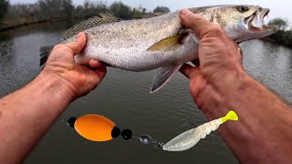 This popping cork set up worked for BIG trout! | Release over 20”