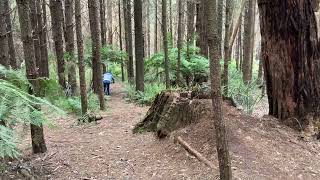 Olinda Pines MTB #shorts