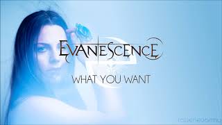 Evanescence - What You Want