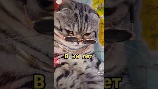 Кошки и коты, Весёлые Видео про Питомцев, Дискотека 90х, Смешные Котята