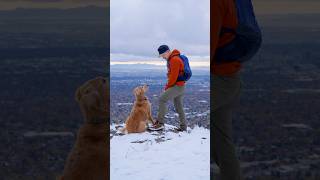 Nala stomps on mountain tops