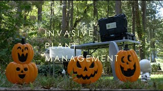 Invasive Plant Haunted House Commercial