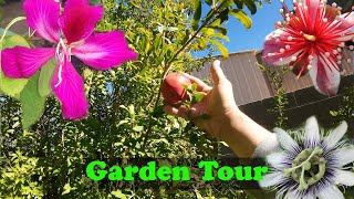 End of The Year Garden Tour