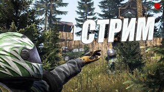 Этот сырник знает свое дело #DayZ