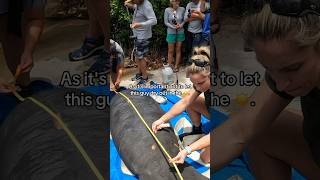 Releasing A Baby Manatee! Part 2… #shorts #fishing #outdoors #nature #animals #ocean #trending #diy