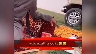 بدوي معه قصيمي يعلمه البداوه 💔😂😂