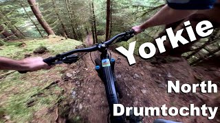 Yorkie - North Drumtochty 2024