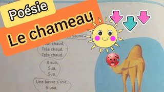 Le chameau  🐫  " Pierre CORAN "