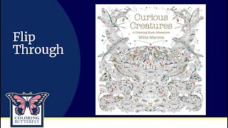 Millie Marotta-Curious Creatures-A Coloring Book Adventure