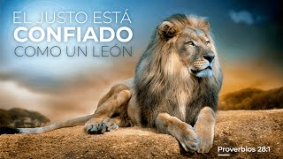 El justo es confiado como león