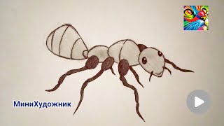 КАК НАРИСОВАТЬ МУРАВЬЯ,РИСУЕМ МУРАВЬЯ КАРАНДАШОМ.