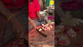 KASIMEDU 🦈 FISH CUTTING VIDEO / cutting focus #bigfishcutting #bigfish #cuttingskills