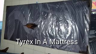 Nawar Kasur Busa | Buat Tidur-tiduran | Tyrex In Mattress | Mattress Foam