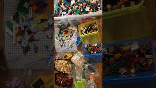 Sort LEGO With Me!