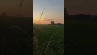 sunset #shortvideo #happy #beautiful