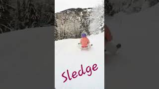 Sledge Race in Switzerland