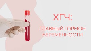 🧬​ХГЧ: главный гормон беременности