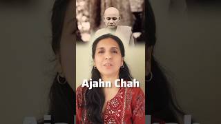 The wisdom of Buddhist Acharya Ajahn Chah #ajahnchah #buddhism #wisdomteaching #selfawareness #short