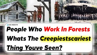 People Who Work In Forests Whats The Creepiestscariest Thing Youve Seen? | Ask Reddit Stories