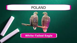 Which country's National Bird is the Eagle || DAG12601