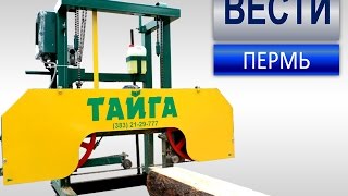 Репортаж  программы  Вести - Тайга  Кормилица