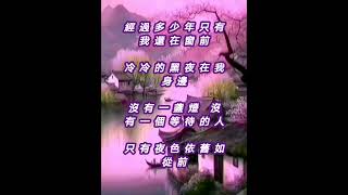 广场舞曲 -《明月夜DJ版》