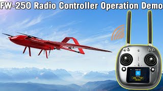 YANGDA VTOL FW250 Radio Controller Operation Demo