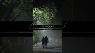 Agar Yakeen Nhi Ata 🥀❣️ / Bashir badr Poetry /#bashirbadr #sadshayari #ytshorts