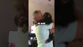 Chimp Gets Reunited With Parents❤️