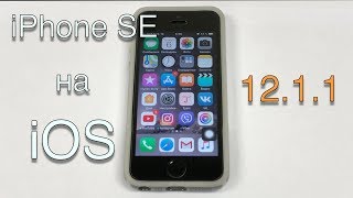 Работа iPhone SE на iOS 12.1.1