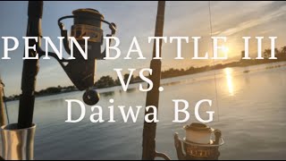 PENN Battle III VS. DAIWA BG SERIES SPINNING REEL