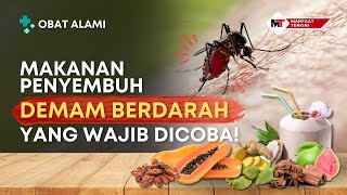 MAKANAN PENYEMBUH DEMAM BERDARAH | ALAMI, AMAN DAN MENYEMBUHKAN