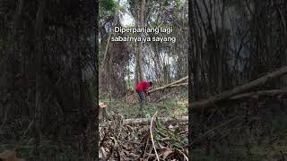 Semoga terhindar dari bahaya#ayah #kalimantan #trending