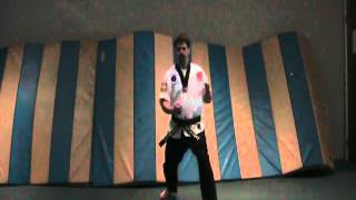 Spear finger strike walking stance Purple belt basic forms