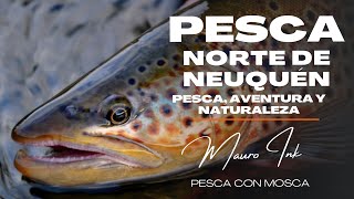 QUE MAL QUE NOS PASO ESTO!!! ❌  Que manera de Sufrir EN ESTE VIAJE DE PESCA 🎣 Como se escaparon 🐟 🐟