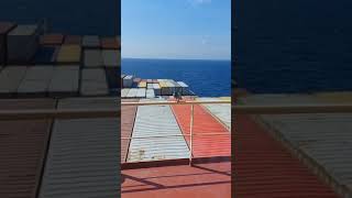 Bird On Ship Tiktok the captain m