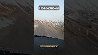 Новоключи озеро Горькое, вода идёт через дорогу #моёсело #житьврадости