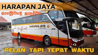 COCOK UNTUK MUDIK??!! Trip Harapan Jaya Bandung Madiun Executive Class #harapanjaya #bandung