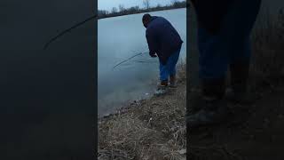 HUGE LARGEMOUTH BASS on a pink senko wacky rigged!