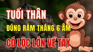 Tử vi tuổi Thân Đúng rằm tháng 6 Âm lịch. Mọi sự hanh thông, Có lộc lớn về tay.