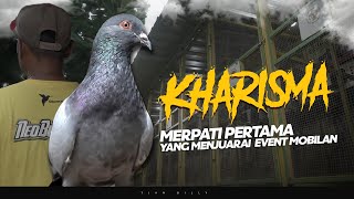 RAWATAN MERPATI LOMBA VERSI NEO BULLGARY TEAM PEKALONGAN