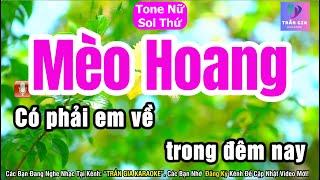 Mèo Hoang Karaoke Tone Nữ