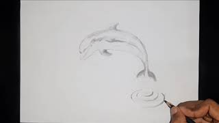 Easy Jumping Dolphin Pencil Drawing | Trick Art