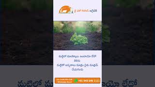 Farmer Quote | Motivational quotes Telugu II Inspirational Quotes II Telugu Quotes