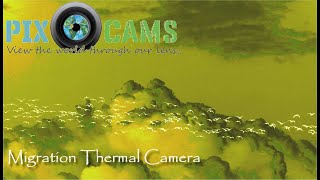 PixCams.com Migration Thermal Camera