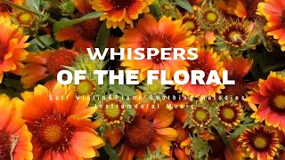 Whispers of the Floral | Soft Violin & Piano Soothing Melodies | Instrumental Music